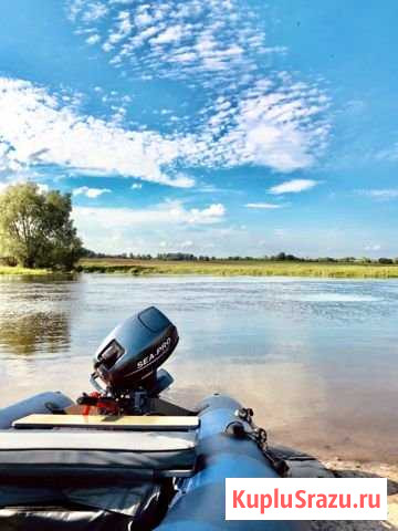 Лодка с мотором sea pro15 Погар - изображение 1