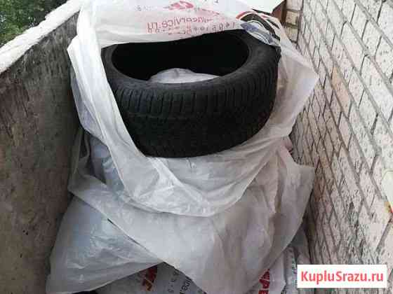 Dunlop зимняя резина, липучка Всеволожск