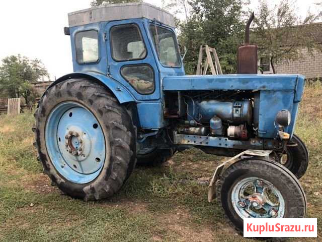Трактор Т 40 М Архангельское - изображение 1