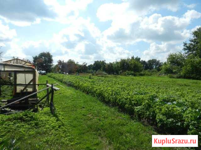 Участок ИЖС 31 сот. на продажу в Чудово Чудово - изображение 1