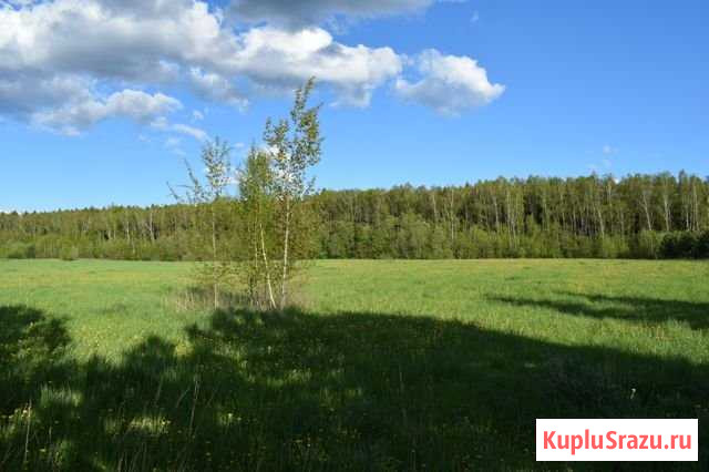 Участок СНТ, ДНП 12 сот. на продажу в Боровске Боровск - изображение 1