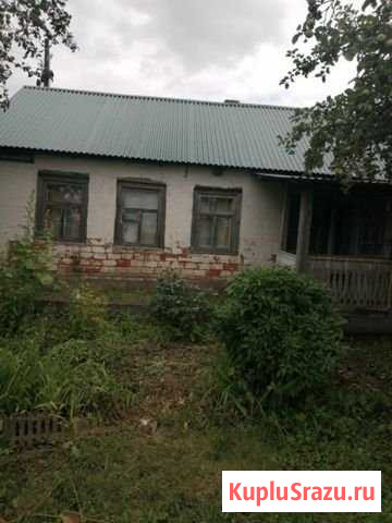 Дом 36 м² на участке 25 сот. на продажу в Волово Тульской области Волово - изображение 1