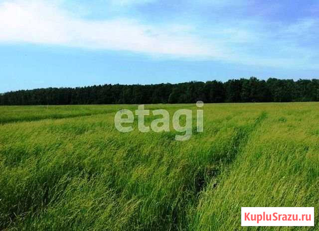 Участок СНТ, ДНП 12 сот. на продажу в Иглино Иглино - изображение 1