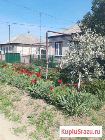 Дом 94 м² на участке 14 сот. на продажу в Красногвардейском Ставропольского края Красногвардейское - изображение 1