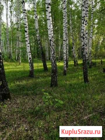 Участок ИЖС 15 сот. на продажу в Улукулево Улукулево - изображение 1