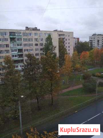 2-комнатная квартира, 46 м², 7/8 эт. в аренду на длительный срок в Колпино Колпино - изображение 1