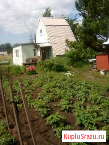 Дача 30 м² на участке 10 сот. на продажу в Павловске Алтайского края Павловск - изображение 1