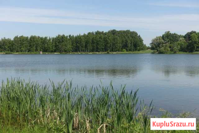 Участок ИЖС 7 сот. на продажу в Володарского Володарского - изображение 1