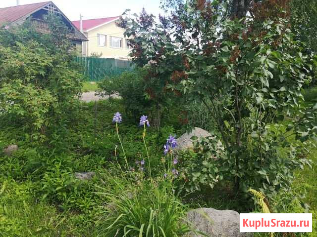 Дом 40 м² на участке 15 сот. на продажу в Ярославле Ярославль - изображение 1