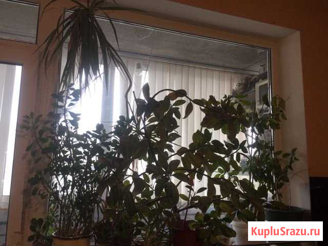 2-комнатная квартира, 40 м², 6/9 эт. на продажу в Волгограде Волгоград - изображение 1