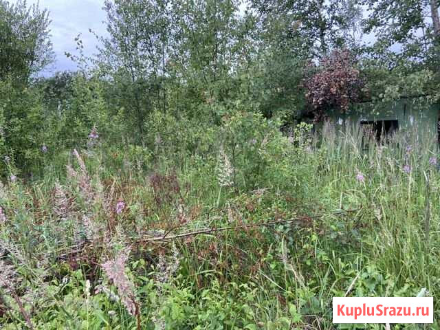 Участок СНТ, ДНП 10 сот. на продажу в Рыбинске Рыбинск - изображение 1