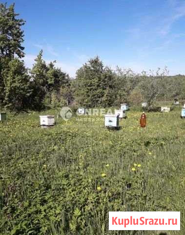 Участок ИЖС 25 сот. на продажу в Новогуровском Новогуровский - изображение 1