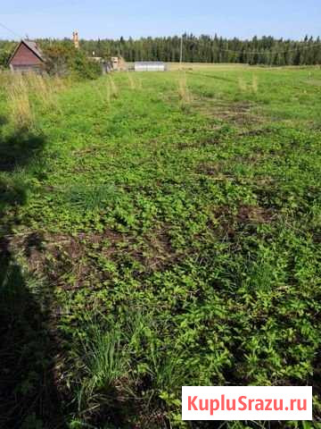 Участок ИЖС 13 сот. на продажу в Бокситогорске Бокситогорск - изображение 1