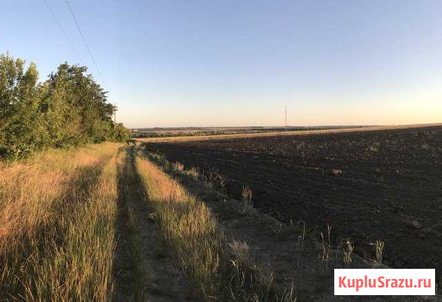 Участок СНТ, ДНП 280 сот. на продажу в Старотитаровской Старотитаровская - изображение 1