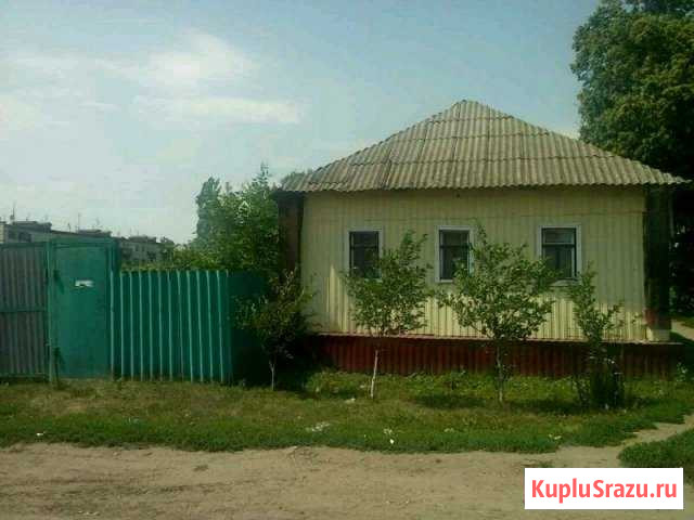 Дом 42 м² на участке 11 сот. на продажу в Короче Короча - изображение 1