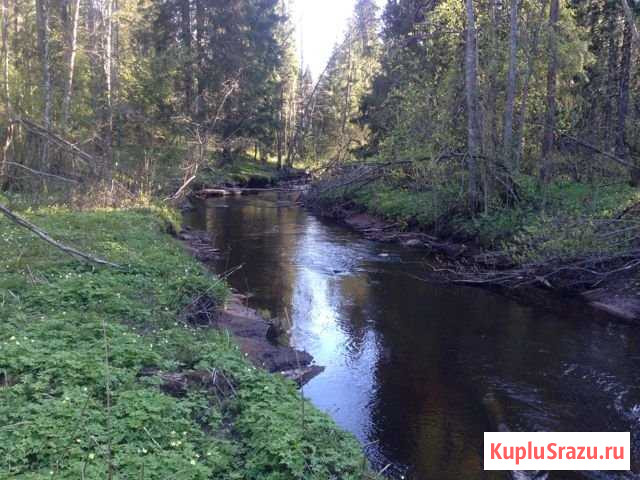 Участок СНТ, ДНП 10 сот. на продажу в Зеленогорске Ленинградской области Зеленогорск - изображение 1