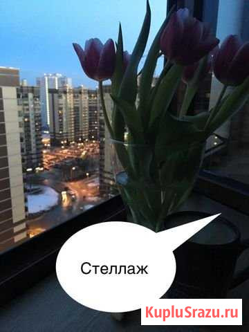 Квартира-студия, 30 м², 17/17 эт. в аренду на длительный срок в Воронеже Воронеж - изображение 1