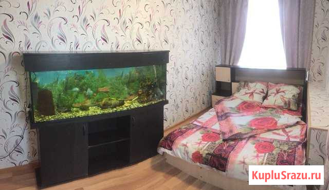 2-комнатная квартира, 43 м², 2/5 эт. в аренду посуточно в Кургане Курган - изображение 1