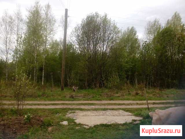 Участок СНТ, ДНП 420 сот. на продажу в Перми Пермь - изображение 1