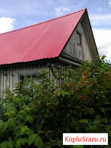Дача 20 м² на участке 6 сот. на продажу в Краснокамске Краснокамск - изображение 1