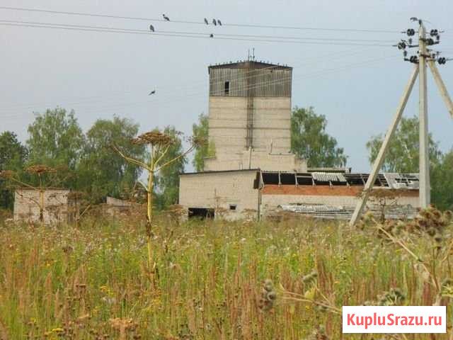 Участок промназначения 462 сот. на продажу в Балакирево Балакирево - изображение 1