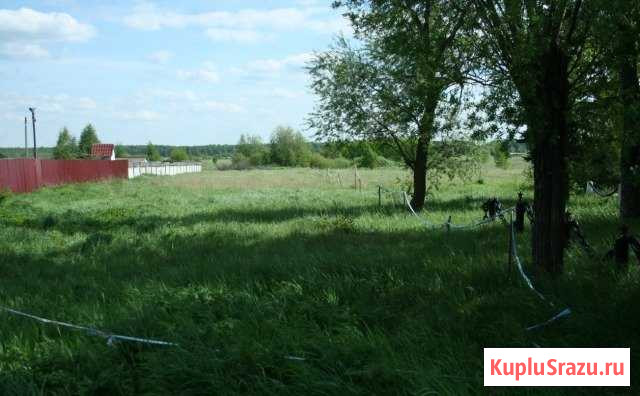 Участок ИЖС 13 сот. на продажу в Ликино-Дулево Ликино-Дулево - изображение 1