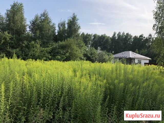 Участок СНТ, ДНП 13 сот. на продажу в Бору Бор - изображение 1