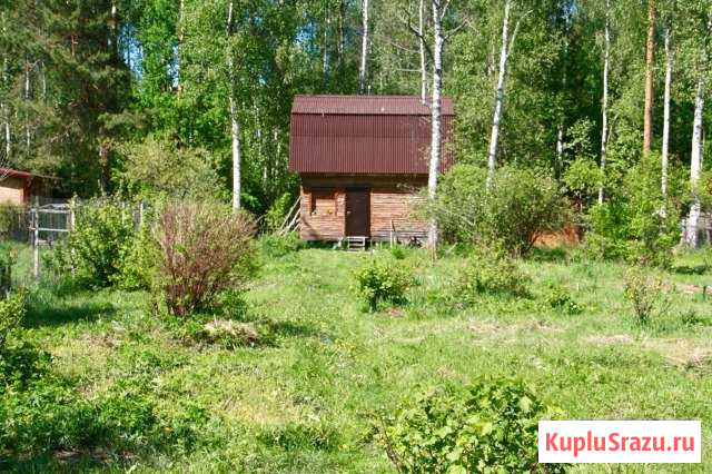 Участок СНТ, ДНП 11 сот. на продажу в Черноголовке Черноголовка - изображение 1