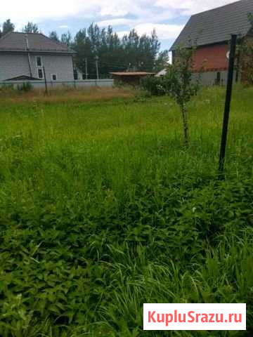 Участок СНТ, ДНП 8 сот. на продажу в Больших Дворах Большие Дворы - изображение 1