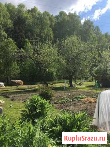Участок СНТ, ДНП 4 сот. на продажу в Чкаловске Чкаловск - изображение 1