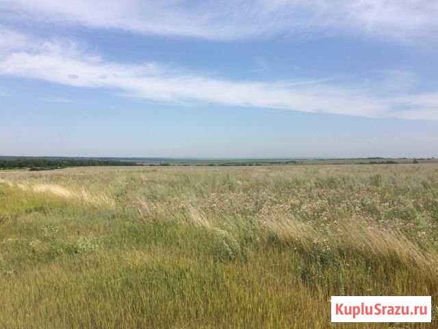 Участок СНТ, ДНП 12544 сот. на продажу в Красноармейске Саратовской области Красноармейск - изображение 1