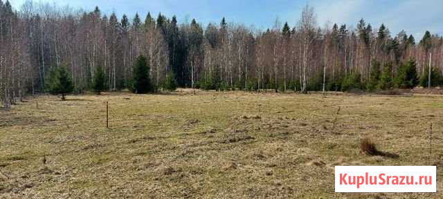 Участок СНТ, ДНП 8 сот. на продажу в Клине Клин - изображение 1