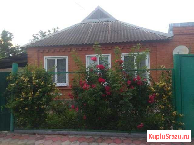 Дом 65 м² на участке 761 сот. на продажу в Елизаветинском Елизаветинское - изображение 1
