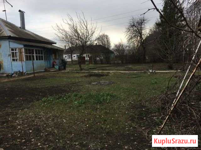 Дом 65 м² на участке 25 сот. на продажу в Панино Панино - изображение 1