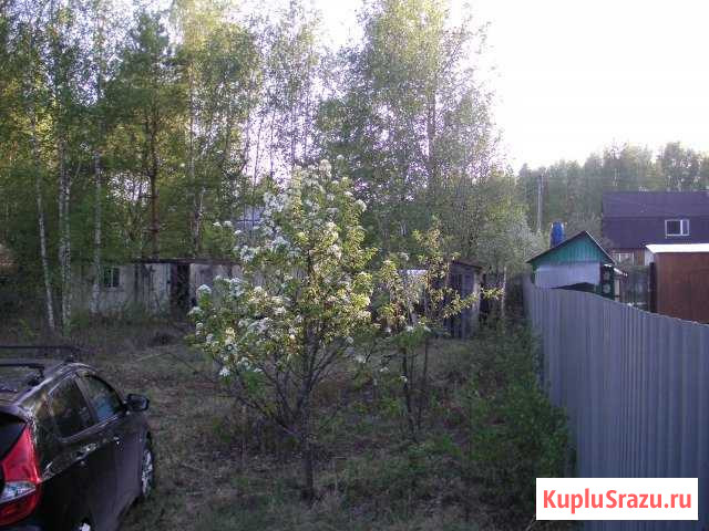 Участок СНТ, ДНП 7 сот. на продажу в Электрогорске Электрогорск - изображение 1