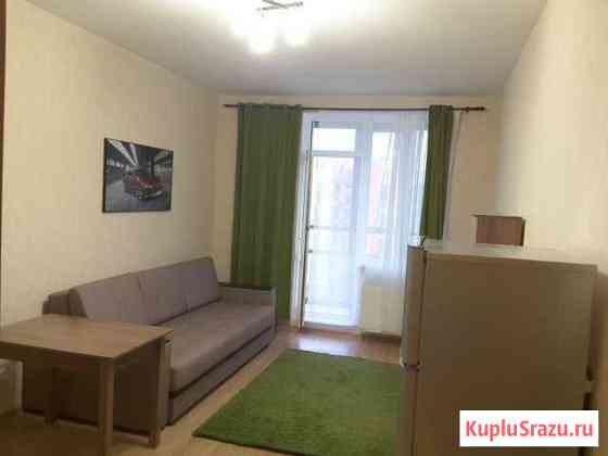 Квартира-студия, 24 м², 11/12 эт. в аренду на длительный срок в Санкт-Петербурге Санкт-Петербург