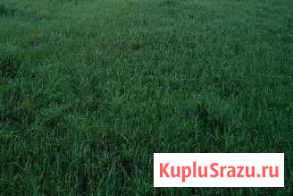 Участок ИЖС 15 сот. на продажу в Ленинске-Кузнецком Ленинск-Кузнецкий - изображение 1