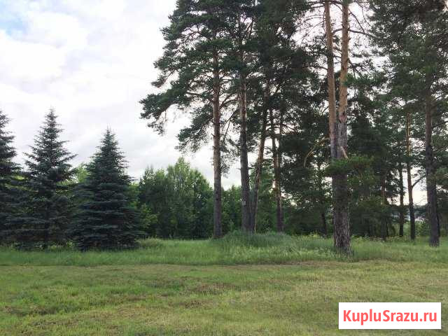 Участок ИЖС 20 сот. на продажу в Казани Казань - изображение 1