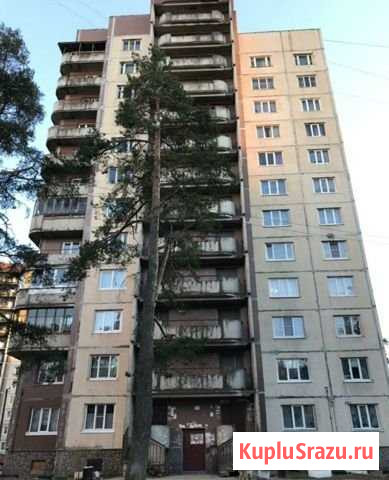 2-комнатная квартира, 49 м², 7/12 эт. на продажу в Приладожском Приладожский - изображение 1