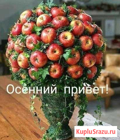 Участок ИЖС 6 сот. на продажу в Челябинске Челябинск - изображение 1