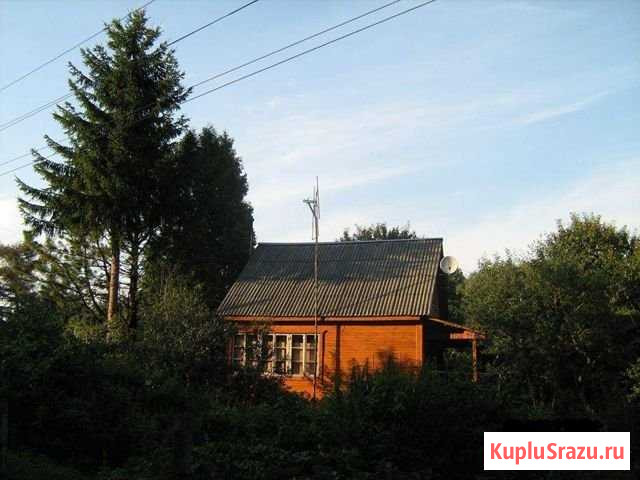Дача 70 м² на участке 13 сот. на продажу в Городищах Городищи - изображение 1
