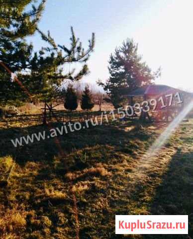 Дача 40 м² на участке 24 сот. на продажу в Великом Новгороде Великий Новгород - изображение 1