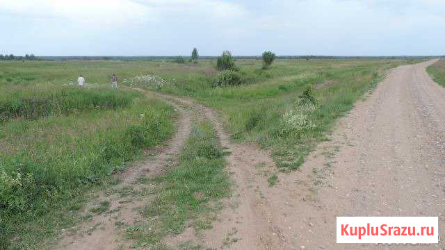 Участок ИЖС 445 сот. на продажу в Костроме Кострома - изображение 1