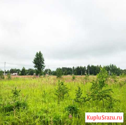 Участок ИЖС 16 сот. на продажу в Некрасовском Ярославской области Некрасовское - изображение 1