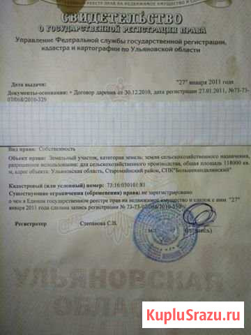 Участок СНТ, ДНП 1180 сот. на продажу в Старой Майне Старая Майна - изображение 1