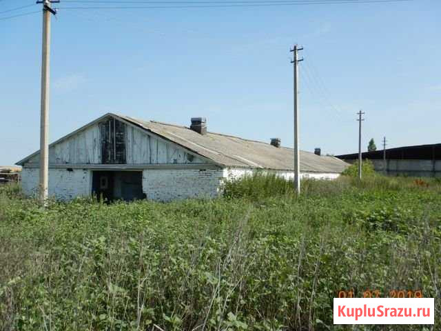 Комплекс мтф с.Борщень Карла Либкнехта - изображение 1