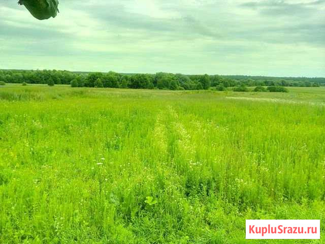 Участок ИЖС 30 сот. на продажу в Козельске Козельск - изображение 1