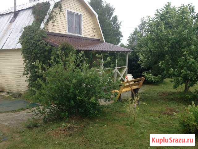 Дача 60 м² на участке 11 сот. на продажу в Стругах Красных Струги Красные - изображение 1