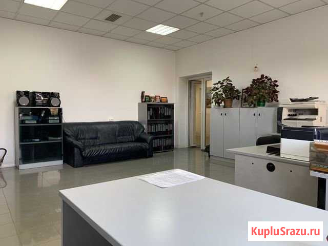 Офисное помещение, от 20кв.м. до 350 кв.м. Солнечногорск - изображение 1