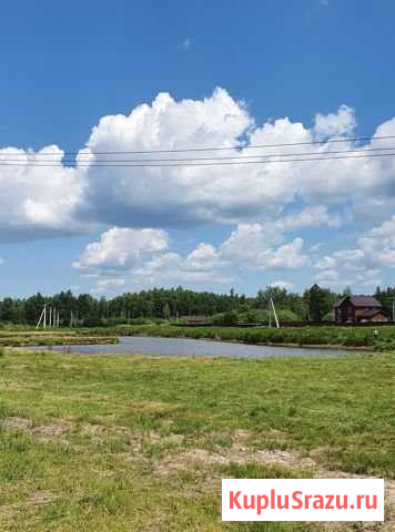 Участок СНТ, ДНП 49 сот. на продажу в Менделеево Московской области Менделеево - изображение 1